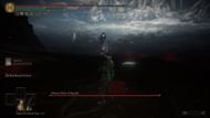 Ashen summons can be a lot of help against some of the hardest end-game bosses (Image via FromSoftware)